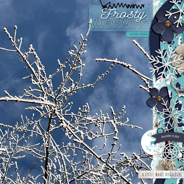 Frosty_Morning