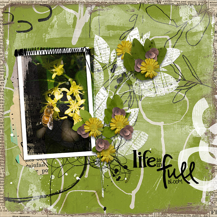 Full Bloom