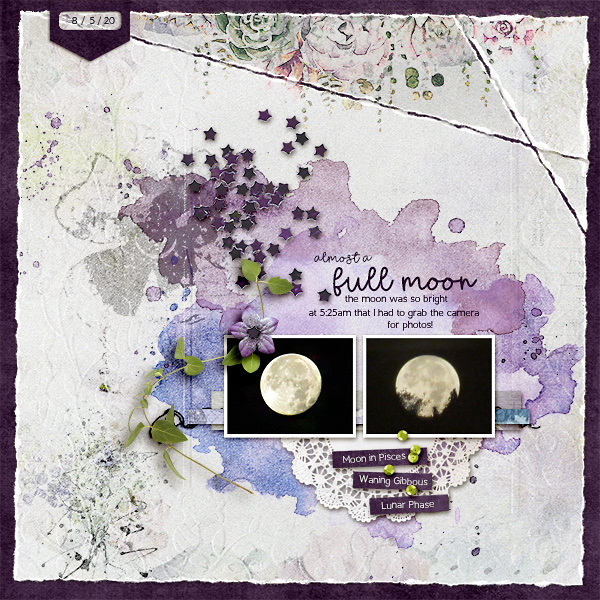 Full Moon (almost)