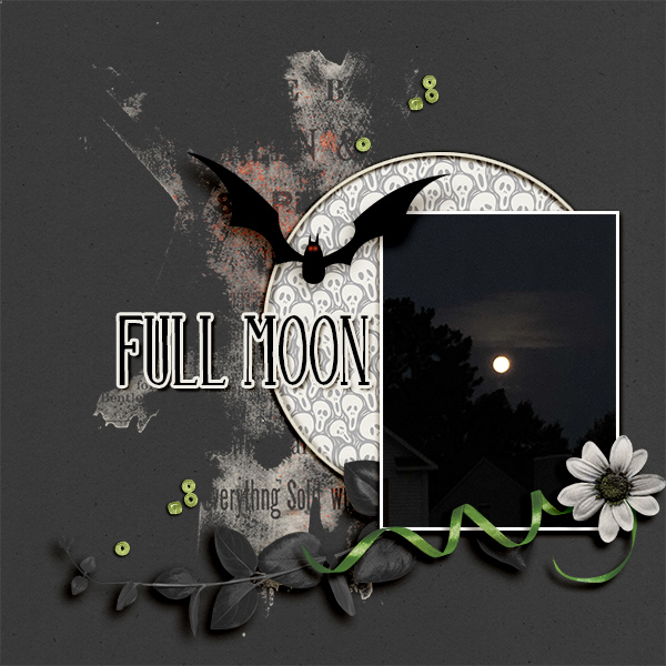 Full Moon
