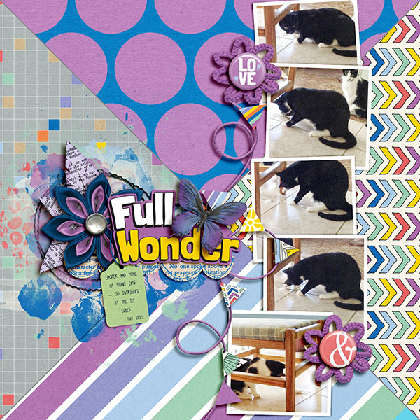 Full of Wonder