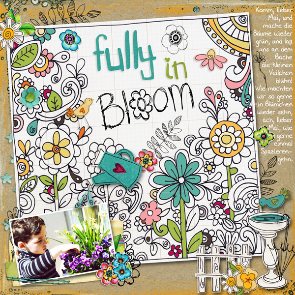 fully in bloom