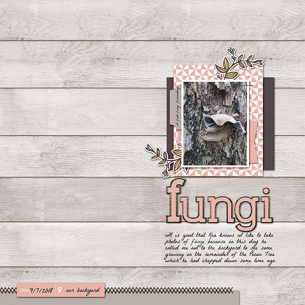 Fungi