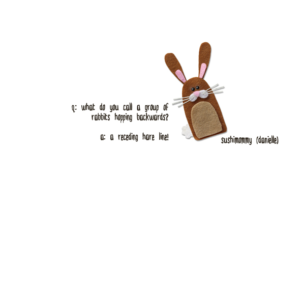 funny bunny says...