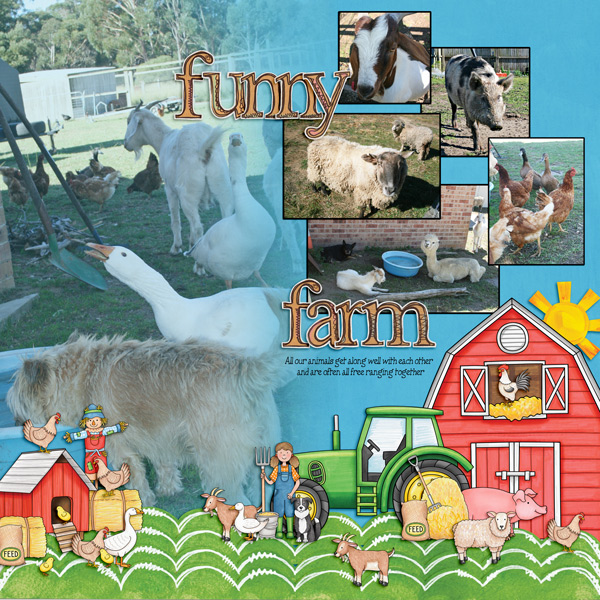 Funny farm