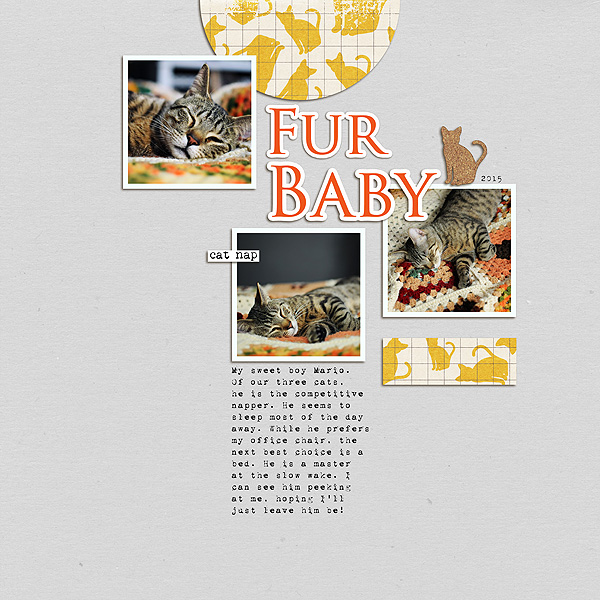 Fur Baby (Day 16)