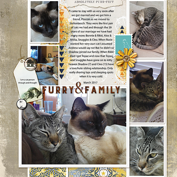 Furry-Family