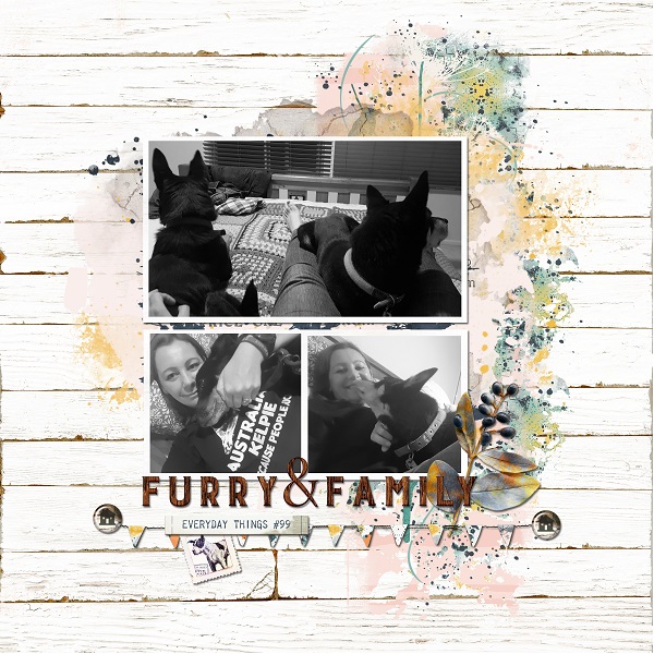 Furry-family
