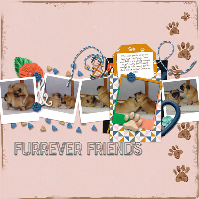 Furry-friends