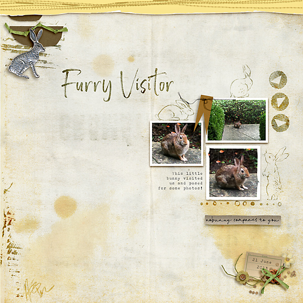 Furry Visitor