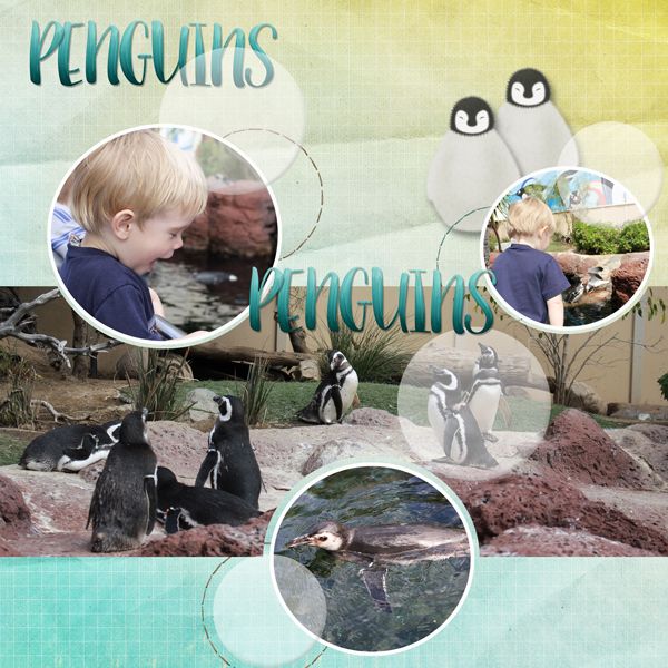 Gabe-penguins