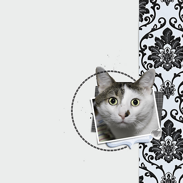 Ga'L January Template Blog Challenge For Pink Reptile Designs Copy