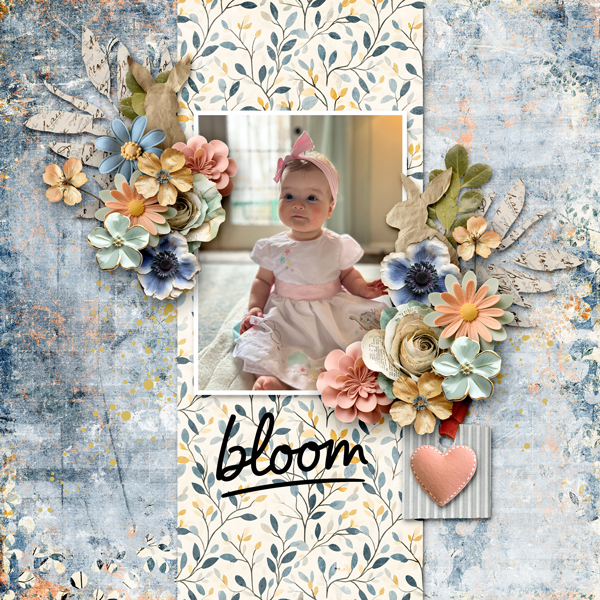 Gallery-Bloom