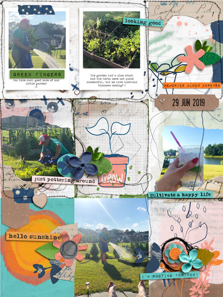 Garden 2019