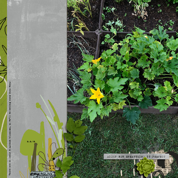 Garden Aug. 2018 (2)