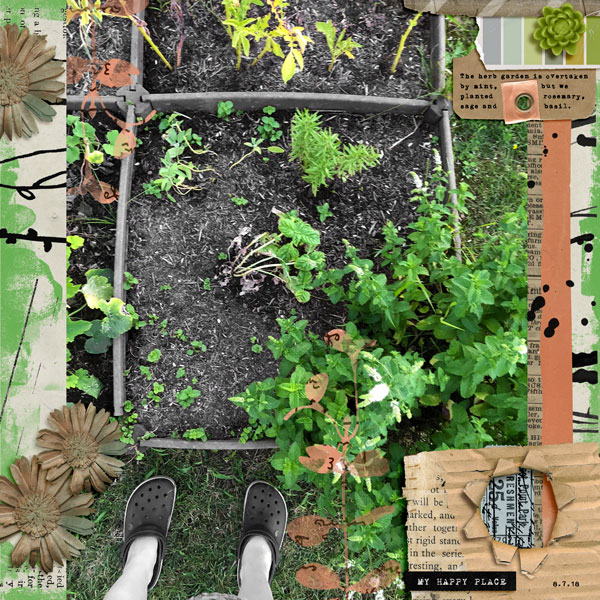 Garden Aug. 2018