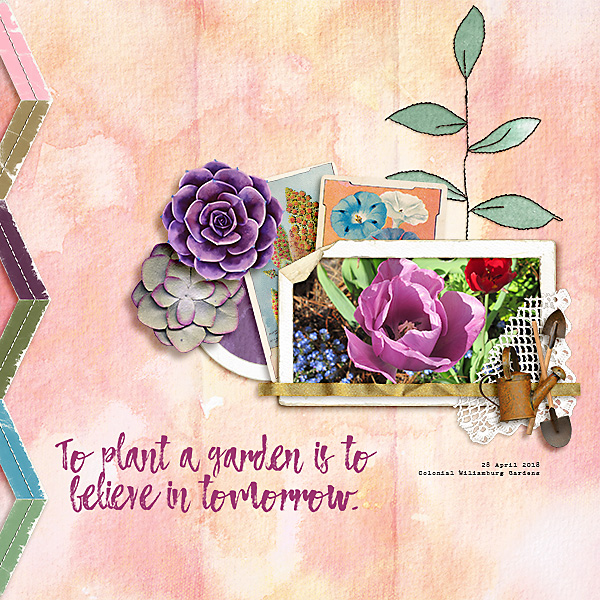 Garden Flowers