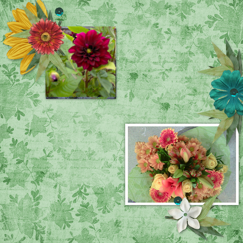 Garden Flowers