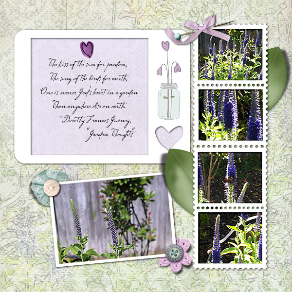 Garden Flowers