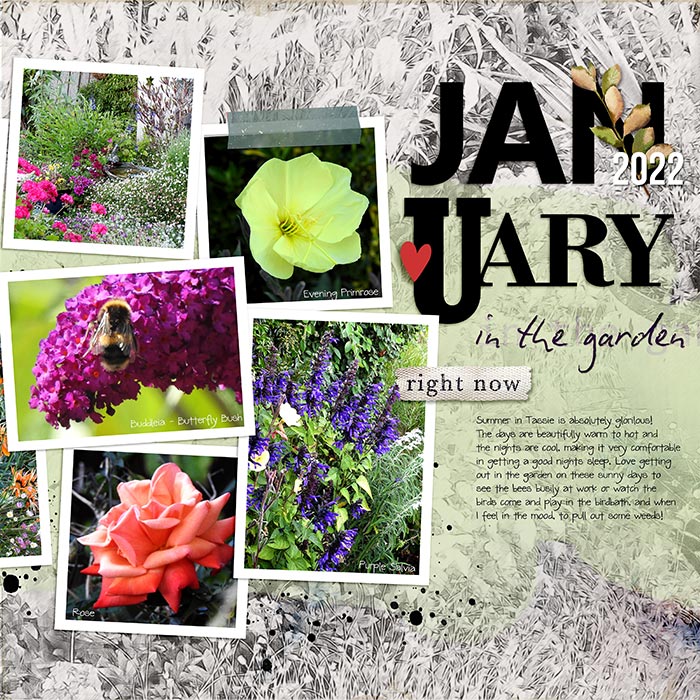 GARDEN JAN 2022 - RIGHT-SIDE