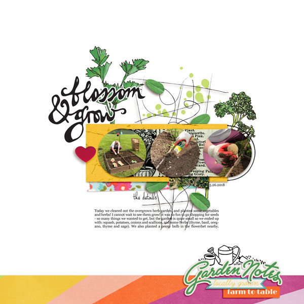 Garden Notes