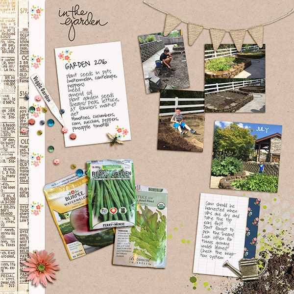 Garden Planning 2016