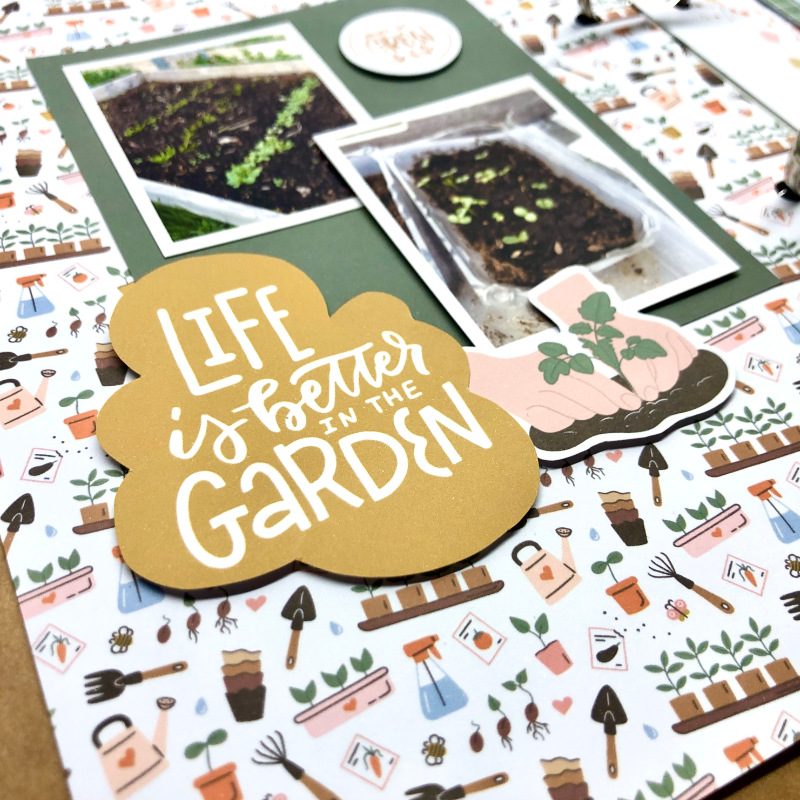 Garden Plans 2025 - hybrid - close up 1