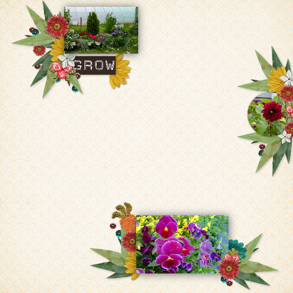 Garden Seeds