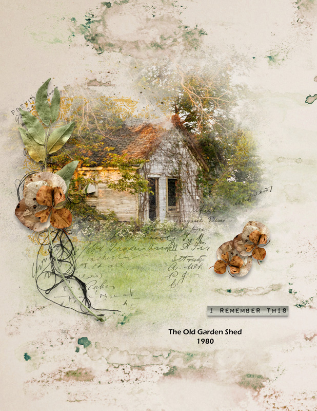 Garden Shed