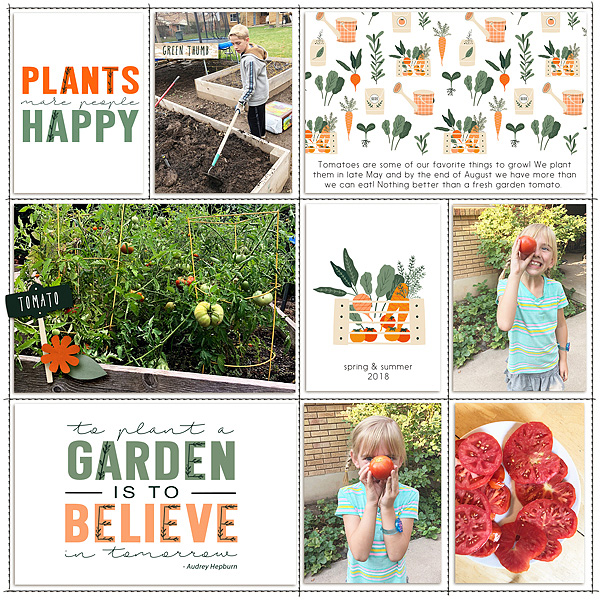 garden tomatoes