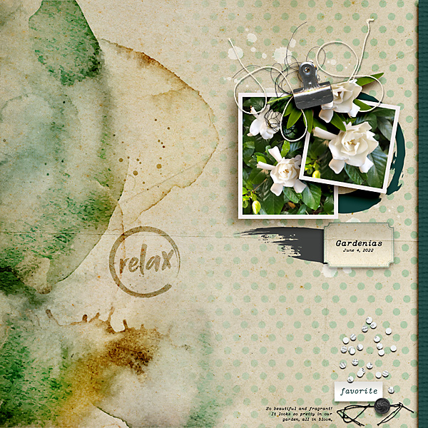 Gardenias
