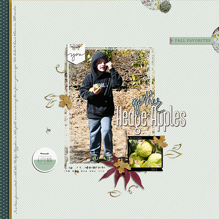 Gather-Hedge-Apples