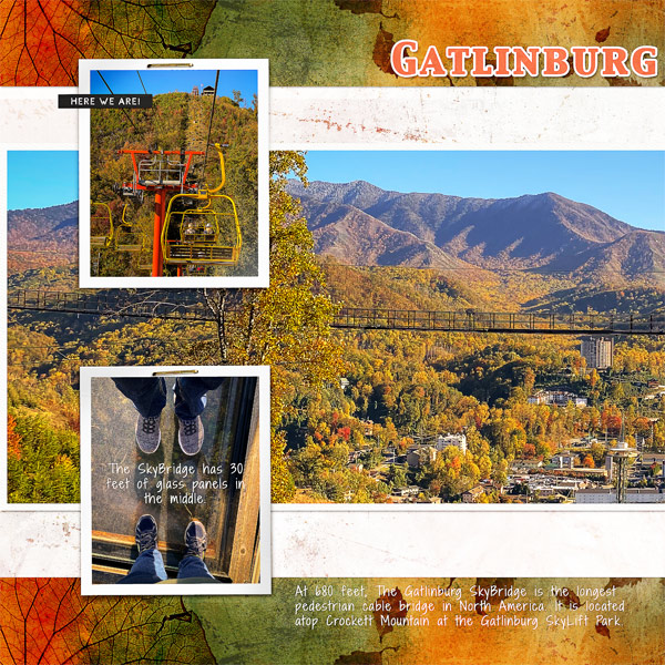 Gatlinburg SkyBridge_left