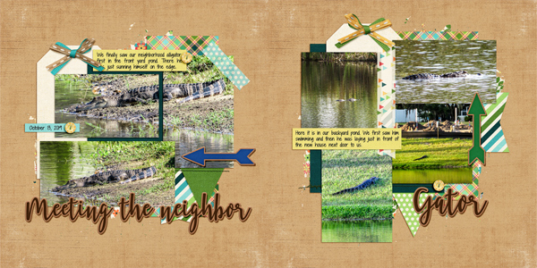 Gator in the Ponds