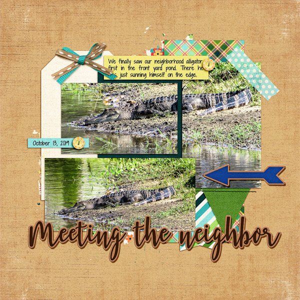 Gator in the Ponds_left