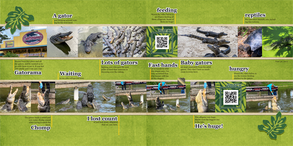 Gatorama