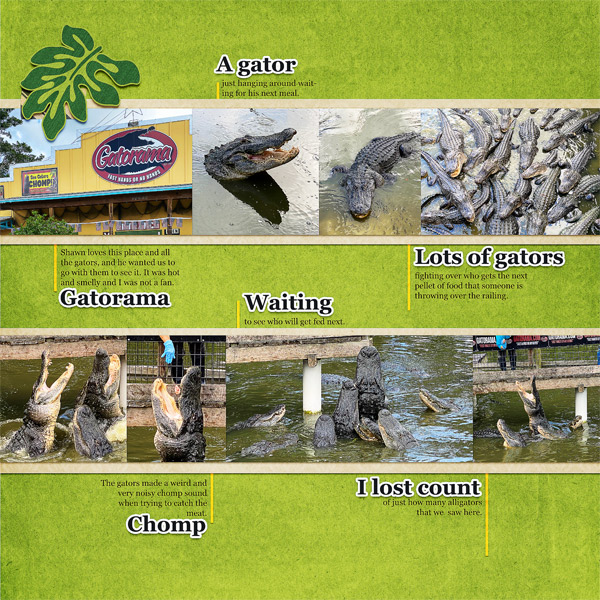 Gatorama_left