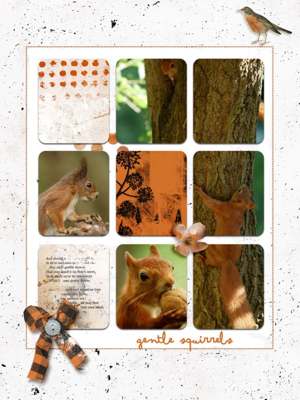 Gentle squirrels