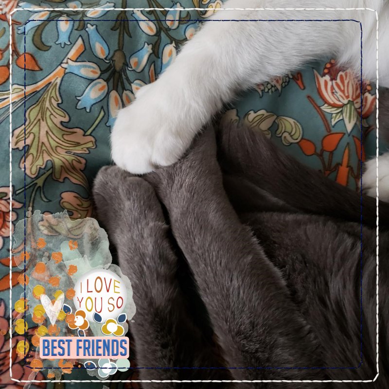 George And Ernest Best Friends