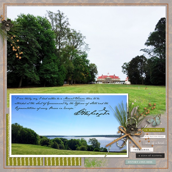 George Washington's Home