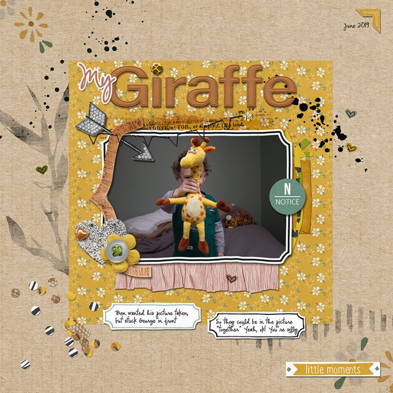 GeorgeGiraffe062019PC