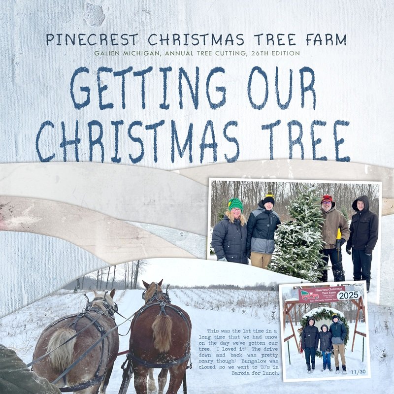Getting Our Christmas Tree 2025 - MOC Day 22