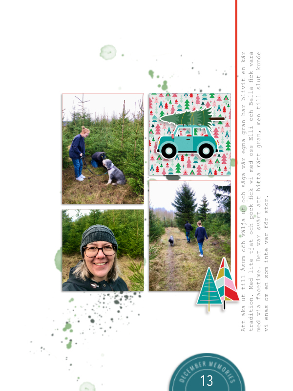 Getting our Christmas Tree