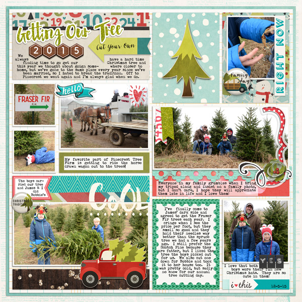 Getting Our Tree 2015