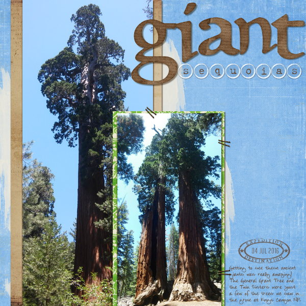 Giant sequoias