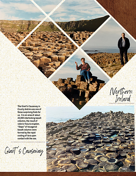 GiantsCauseway_flowersgal_web
