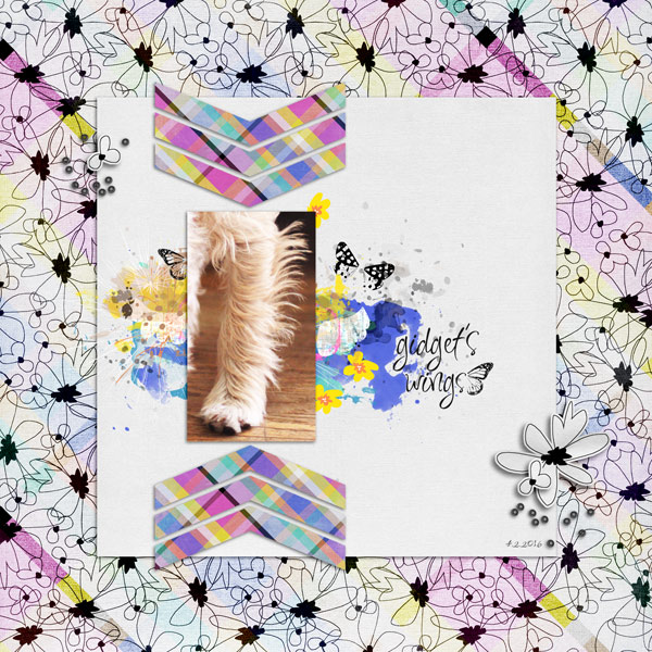 Gidget's Wings
