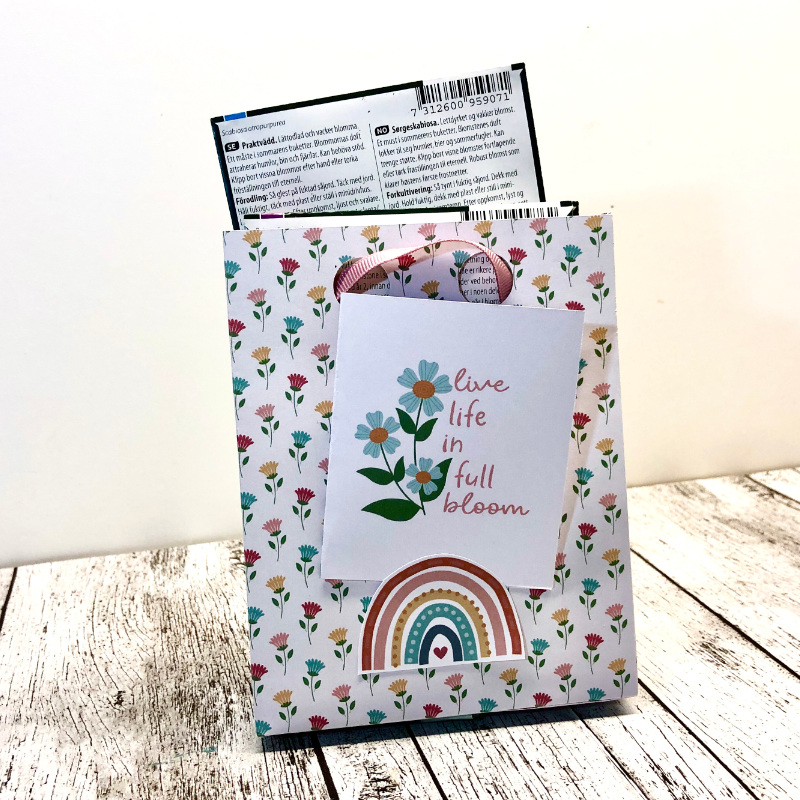 Gift bag - hybrid - backside with card