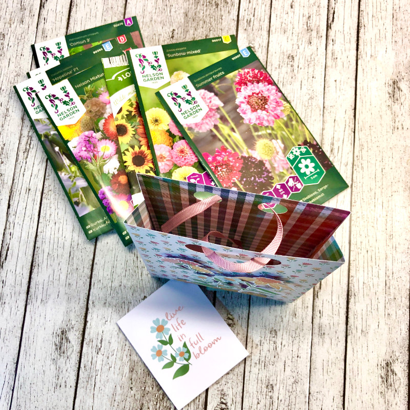 Gift bag - hybrid - inside