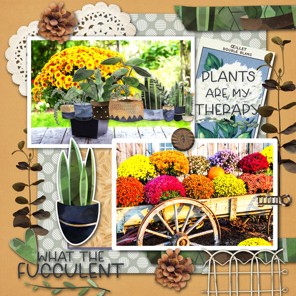 Gina Miller Crazy Plant Lady